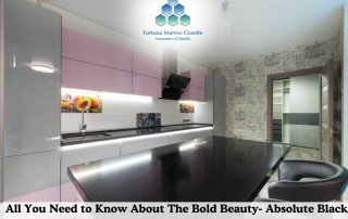 All You Need to Know About The Bold Beauty- Absolute Black Granite