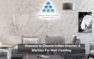 Reasons to Choose Indian Granites & Marbles For Wall Cladding-featured image