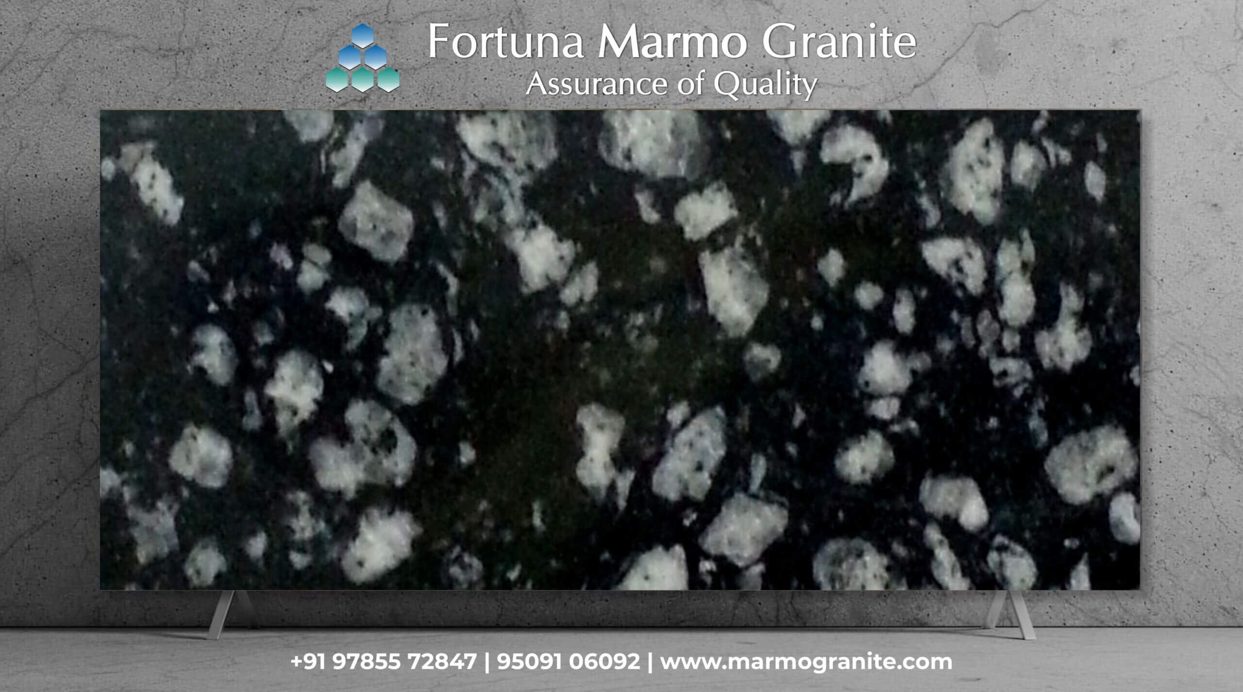 coin black granite