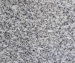 Platinum White Granite