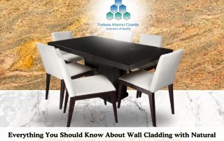 Granite wall Cladding