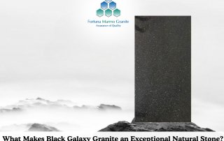What Makes Black Galaxy Granite an Exceptional Natural Stone?