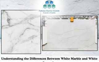 Understanding the Differences Between White Marble and White Quartzite