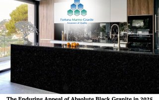 The Enduring Appeal of Absolute Black Granite in 2025