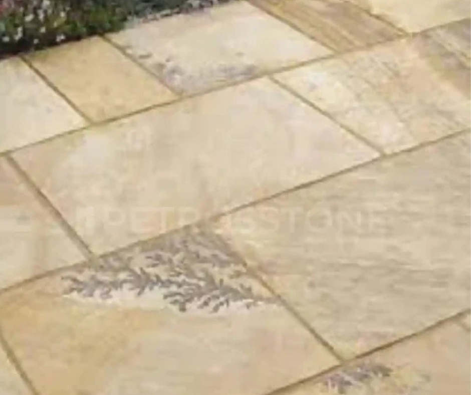 Fossil Mint Sandstone