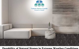 Durability of Natural Stones in Extreme Weather Conditions