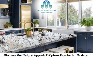 Discover the Unique Appeal of Alpinus Granite for Modern Interiors