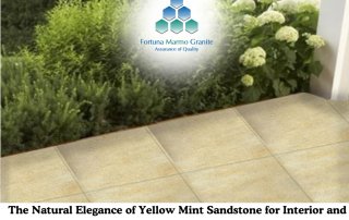 The Natural Elegance of Yellow Mint Sandstone for Interior and Exterior Designs