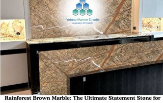 Rainforest Brown Marble: The Ultimate Statement Stone for Luxurious Interiors