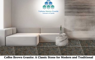 Coffee Brown Granite: A Classic Stone for Modern and Traditional Designs