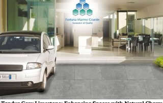 Tandur Grey Limestone: Enhancing Spaces with Natural Charm