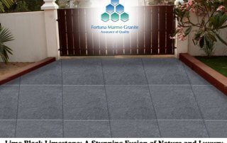 Lime Black Limestone: A Stunning Fusion of Nature and Luxury