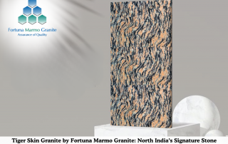 Tiger Skin Granite by Fortuna Marmo Granite: North India’s Signature Stone from a Leading Manufacturer