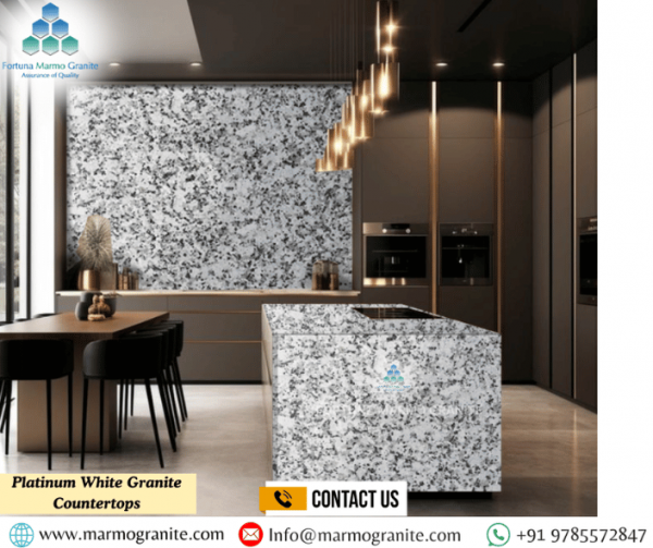 Platinum White Granite Countertops