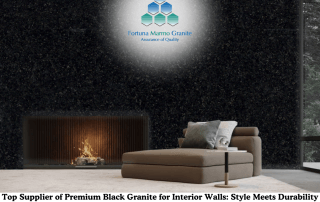 Top Supplier of Premium Black Granite for Interior Walls: Style Meets Durability Indoors