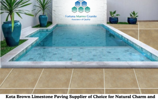 Kota Brown Limestone Paving Supplier of Choice for Natural Charm and Strength