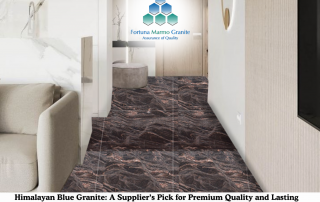 Himalayan Blue Granite: A Supplier’s Pick for Premium Quality and Lasting Style