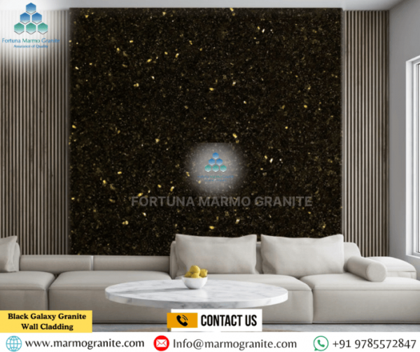 Black Galaxy Granite Wall Cladding