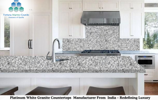 Platinum White Granite Countertops Manufacturer From India – Redefining Luxury Countertops Worldwide