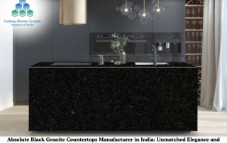 Absolute Black Granite Countertops Manufacturer in India: Unmatched Elegance and Durability