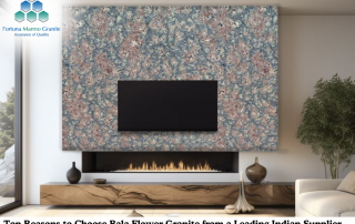 Top Reasons to Choose Bala Flower Granite from a Leading Indian Supplier