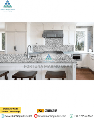 Platinum White Granite Countertops