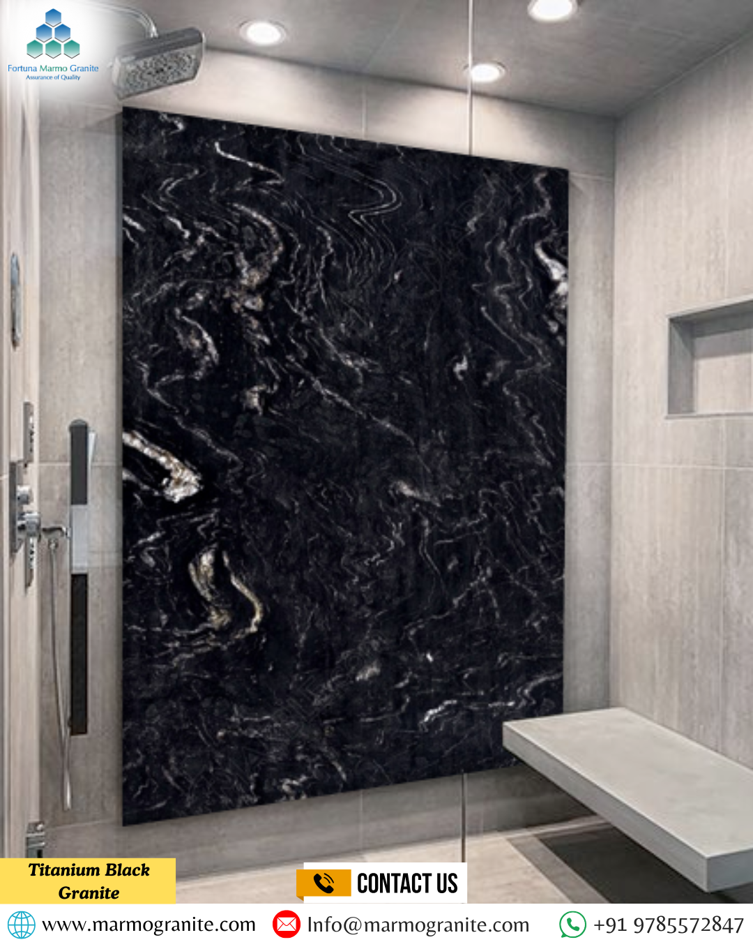 Titanium Black Granite Titanium Black Granite