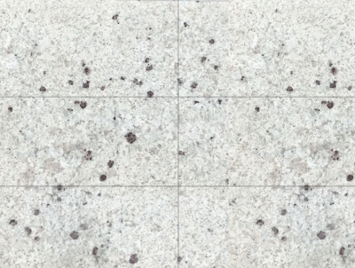 Kashmir White Granite Tiles