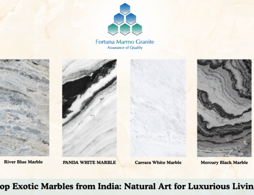 Top Exotic Marbles from India: Natural Art for Luxurious Living