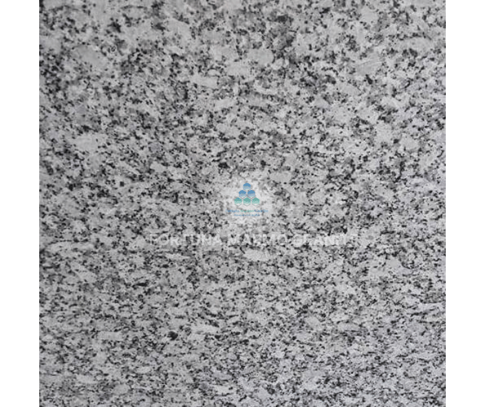 Platinum White Granite Platinum White Granite
