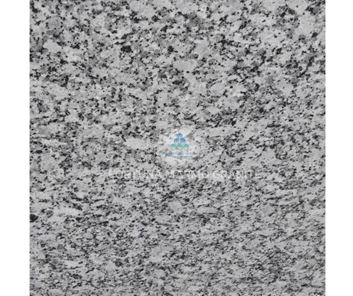 Platinum White Granite Platinum White Granite