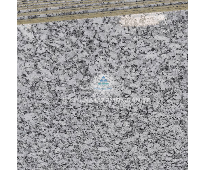 Platinum White Granite Platinum White Granite