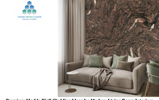 Premium Marble Wall Cladding Ideas for Modern Living Room Interiors