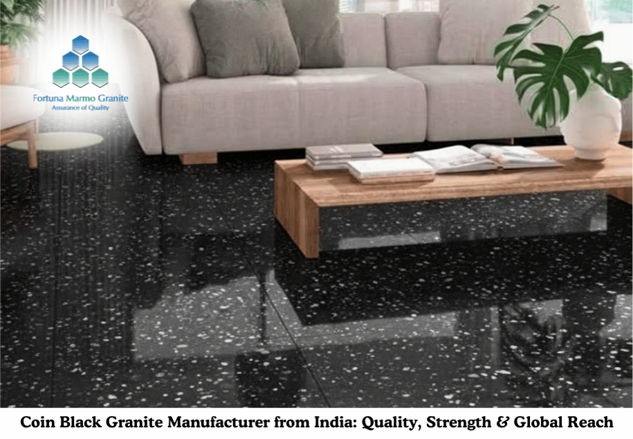 Coin Black Granite Manufacturer from India: Quality, Strength & Global Reach