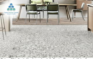 Platinum White Granite Manufacturer from India: Premium Elegance for Modern Spaces