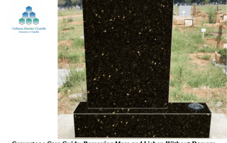 Gravestone Care Guide: Removing Moss and Lichen Without Damage