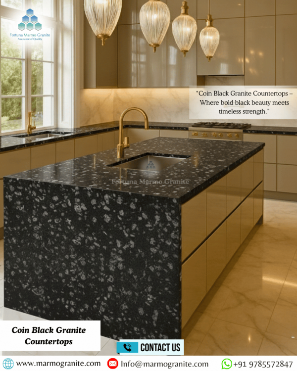 Coin Black Granite Countertops Coin Black Granite Countertops