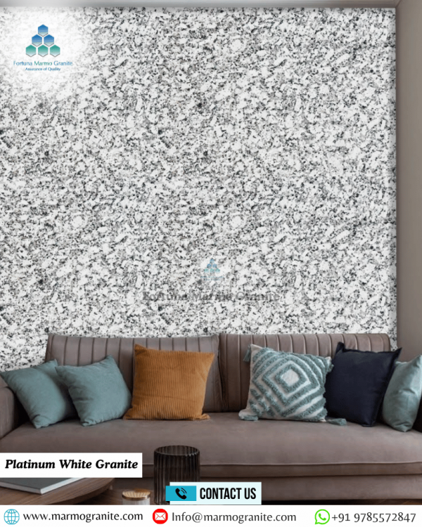 Platinum White Granite Platinum White Granite