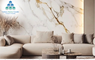 Quartz on Wall Cladding: Benefits, Designs and Installation Ideas